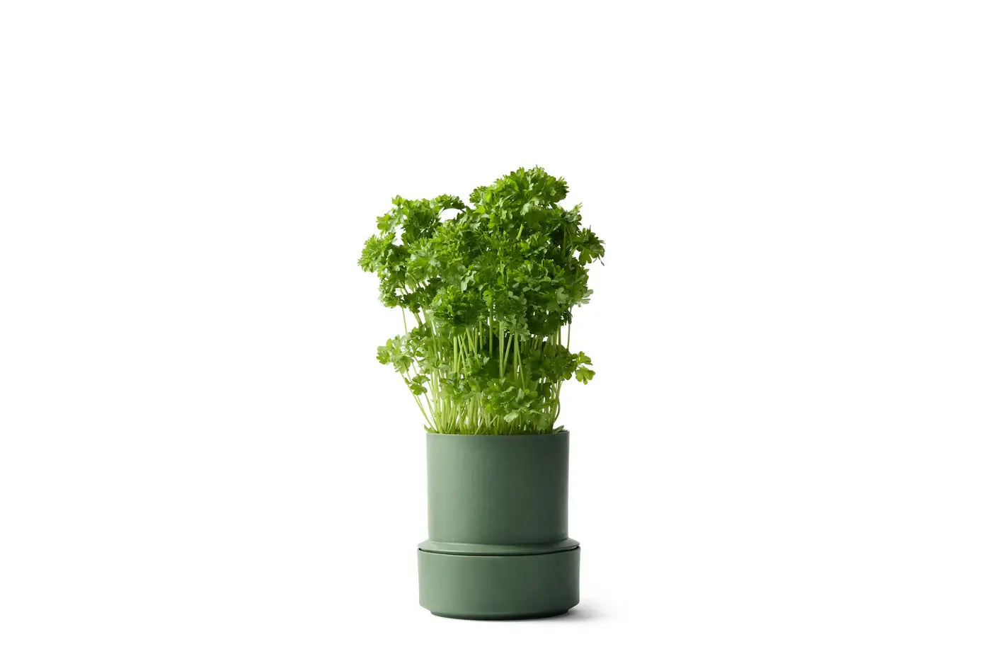 Parsley Self Watering Pot