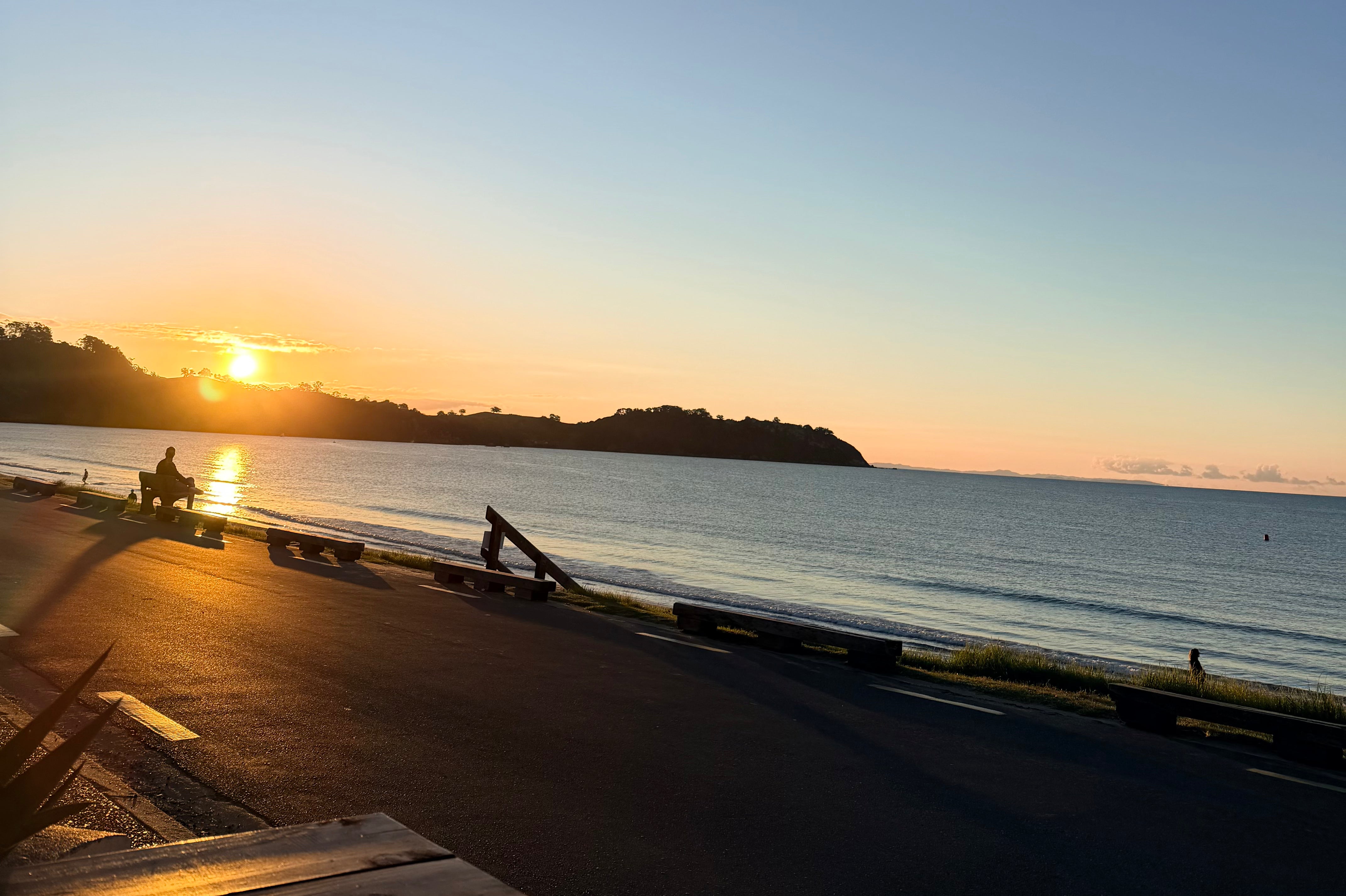 Saucy's Guide of Where to Eat and Drink on Waiheke
