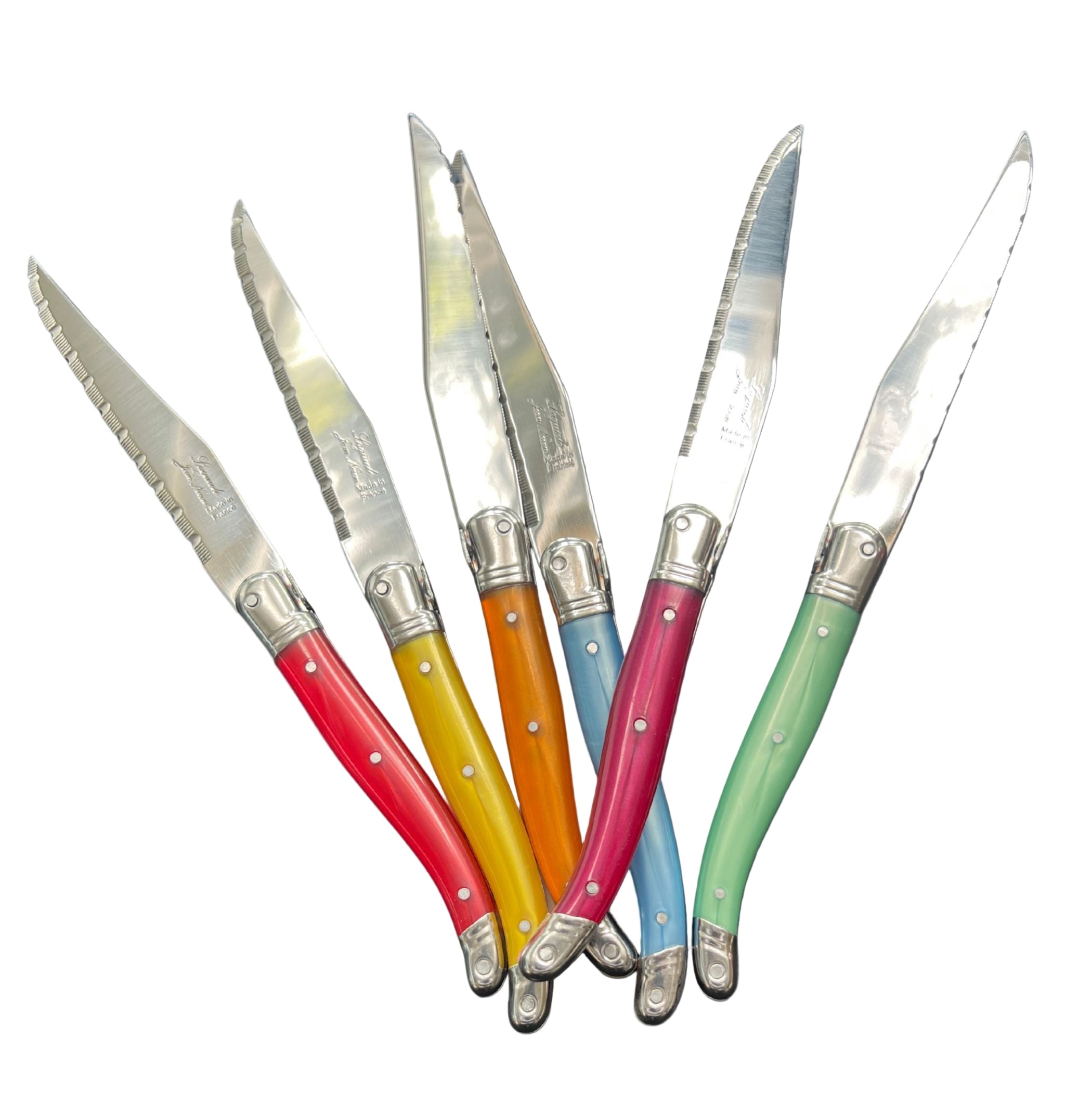 Coloured Laguiole Neron 24 Piece Cutlery Set