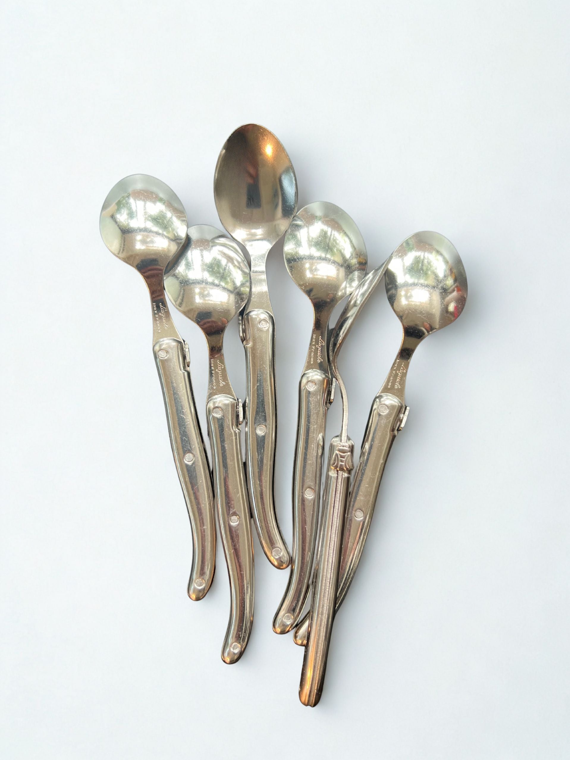 Silver Laguiole Neron 24 Piece Cutlery Set